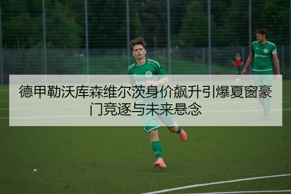 德甲勒沃库森维尔茨身价飙升引爆夏窗豪门竞逐与未来悬念