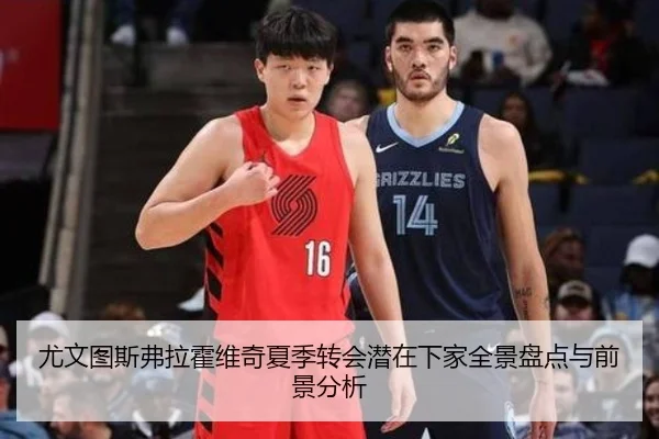 尤文图斯弗拉霍维奇夏季转会潜在下家全景盘点与前景分析